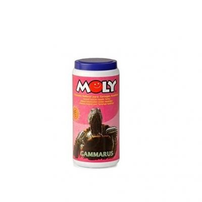  Moly Gammurus