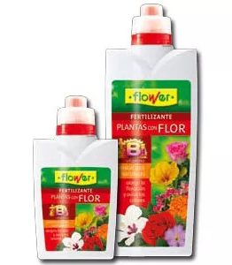 fertilizantes-plantas-con-flor-flower